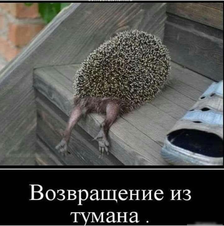 З И 6 И Ё Ща р В 3 О В