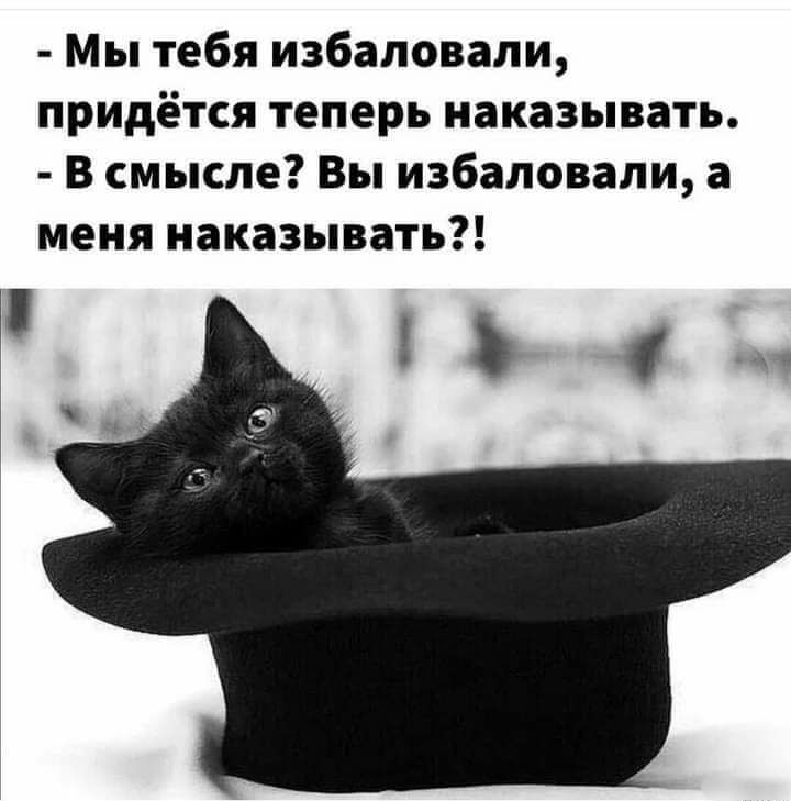 Мы тебя избаловани придётся теперь наказывать В смысле Вы избаловани а меня наказывать