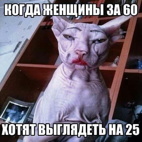КПЁТ ВЫГЁЁДЕТЬЁАА 25