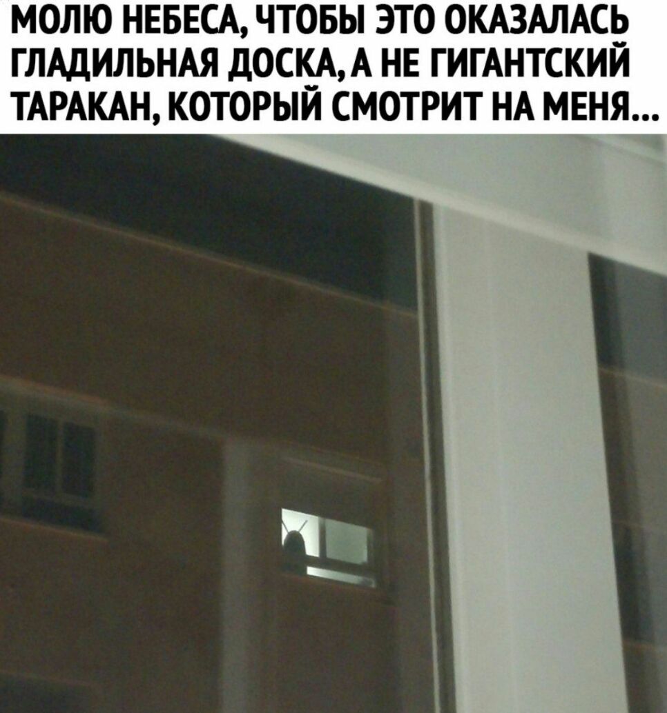 МОЛЮ НЕБЕСА ЧТОБЫ ЭТО ОКАЗАЛАСЁ ГЛАДИЛЬНАЯ д0САА НЕ ГИГАНТСКИИ ТАРАКАН КОТОРЫИ СМОТРИТ НА МЕНЯ