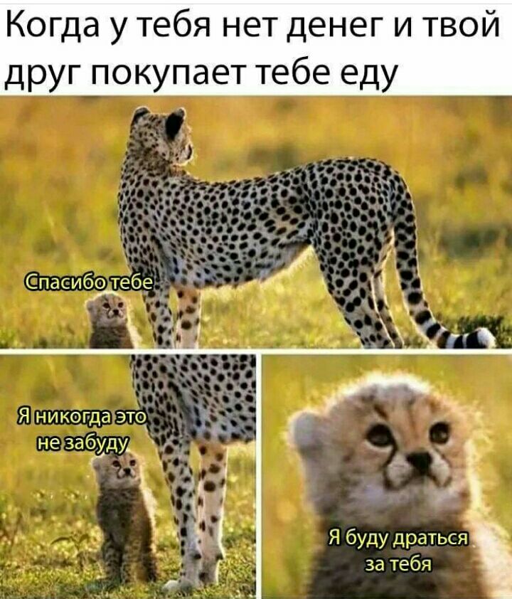 Когда у тебя нет денег и твой друг покупает тебе еду _ _ Я _ЛК01_С это із не згоуду _ _ _ ч
