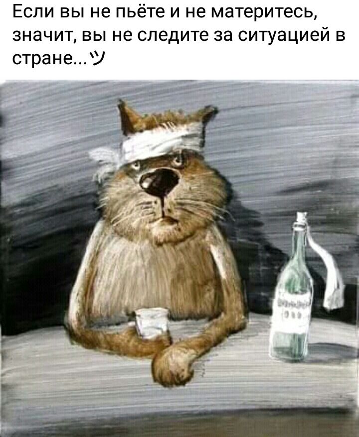 Если вы не пьёте и не материтесь значит вы не следите за ситуацией в стране