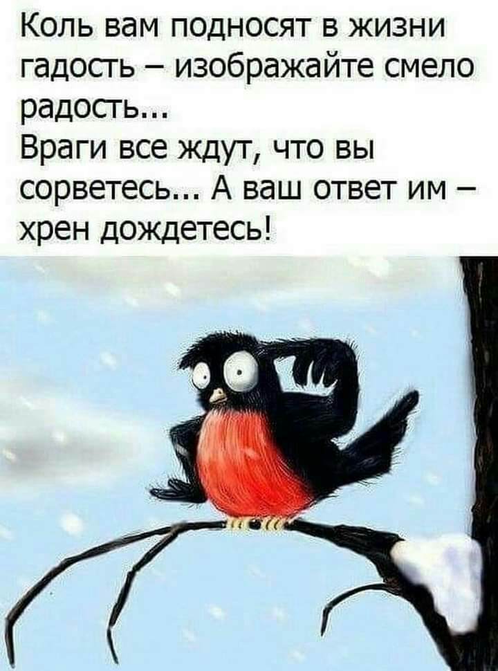 Коль вам подносят в жизни гадость изображайте смело радость Враги все ждут что вы сорветесь А ваш ответ им хрен дождетесь