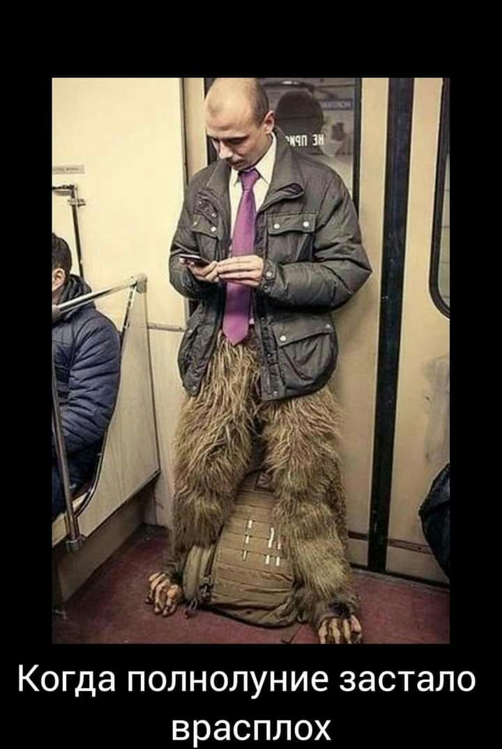 Когда полнолуние застало врасплох