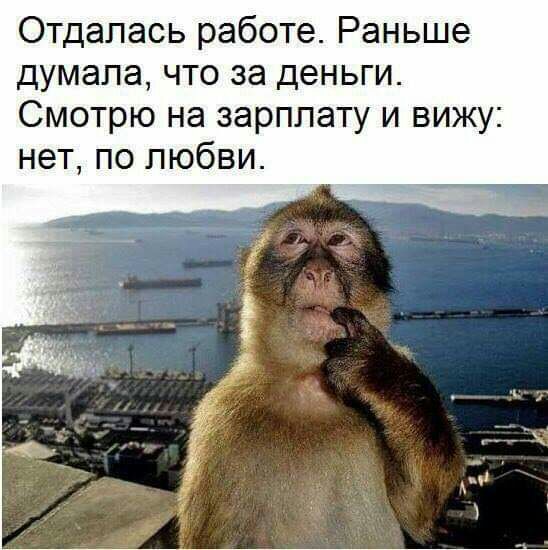 Отдапась работе Раньше думала что за деньги Смотрю на зарплату и вижу нет по любви