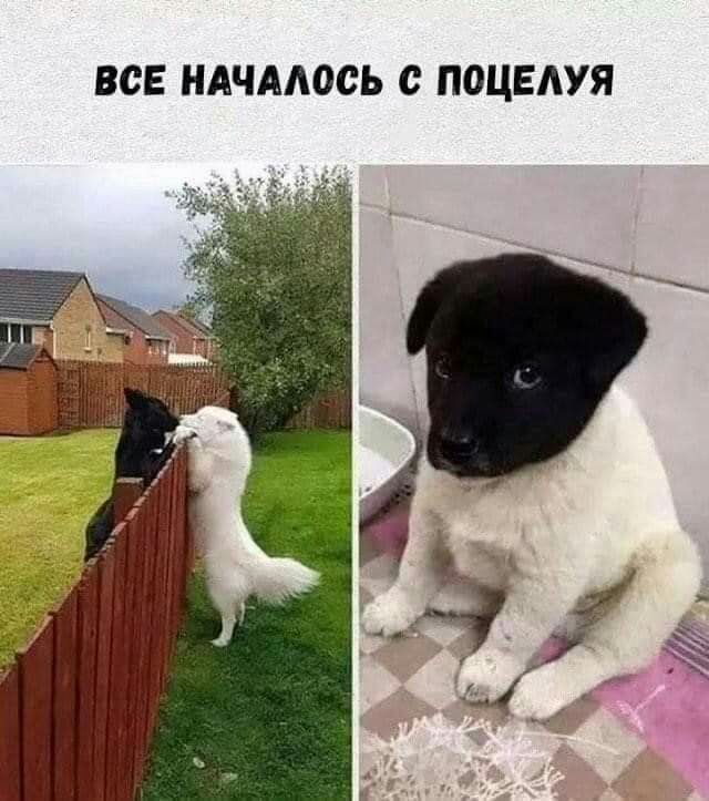 ВСЕ НАЧАЛОСЬ с ПОЦЕАУЯ