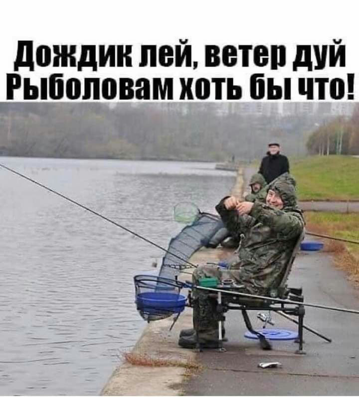 дождик пей ветеп дуй ьРыііоповам хоть бы что