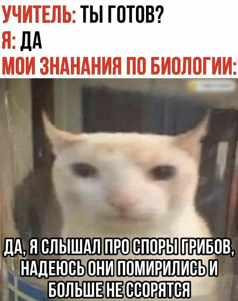 УЧИТЕЛЬ ТЫ ГОТОВ Я ДА МПИ ЗНАНАНИЯ ПО БИ0Л0ГИИ дА я слЫШАА про споры гривны НАДЕЮВЫОНИИ БОЛЬШЕНЕ ББОРЯТВЯ