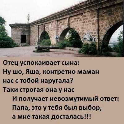 Отец успокаивает сына Ну шо Яша контретно маман нас с тобой наругала Таки сгрогая она у нас И получает иееоэмутимый ответ Папа это у тебя был выбор а мне такая досталась