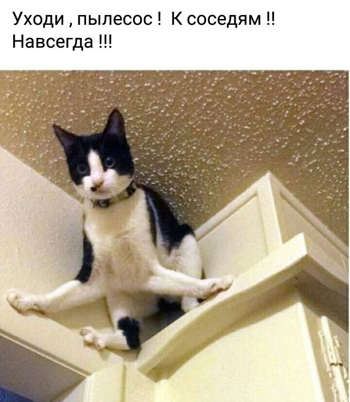 Уходи пылесос К соседям Навсегда