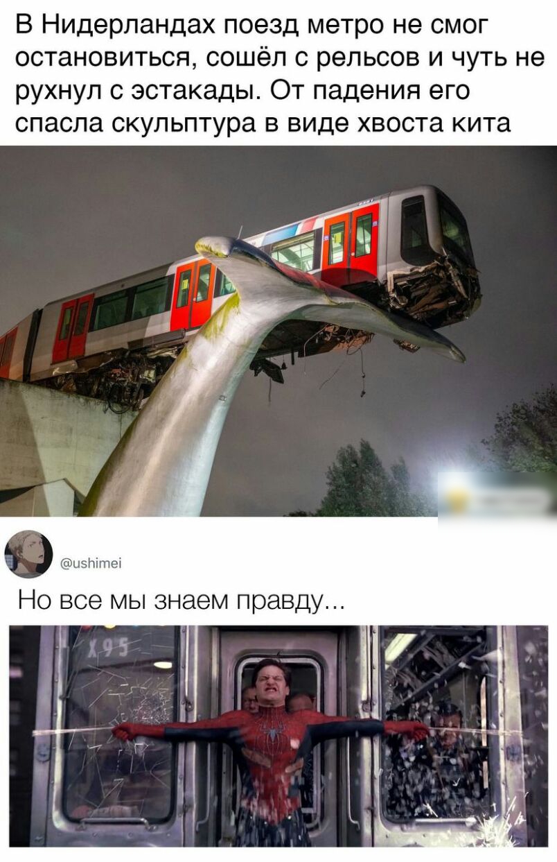 В Нидерландах поезд метро не смог остановиться сошёл с рельсов и чуть не рухнул с эстакады От падения его спасла скульптура в виде хвоста кита найіта Но все мы знаем правду