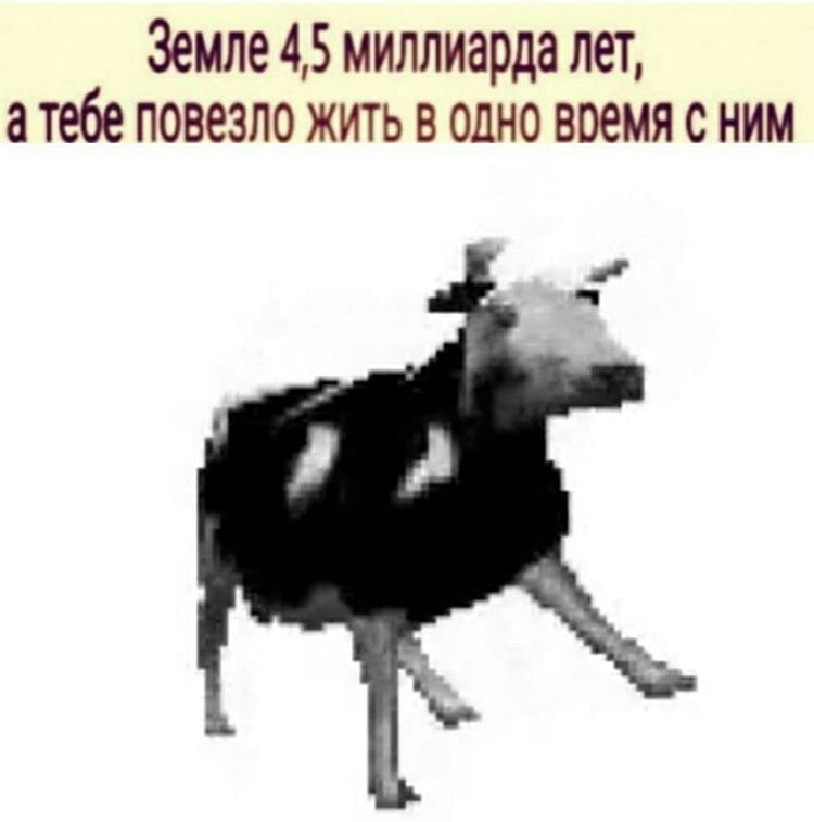 Земле 45 миллиарда лет а тебе повезло жить в одно время с ним