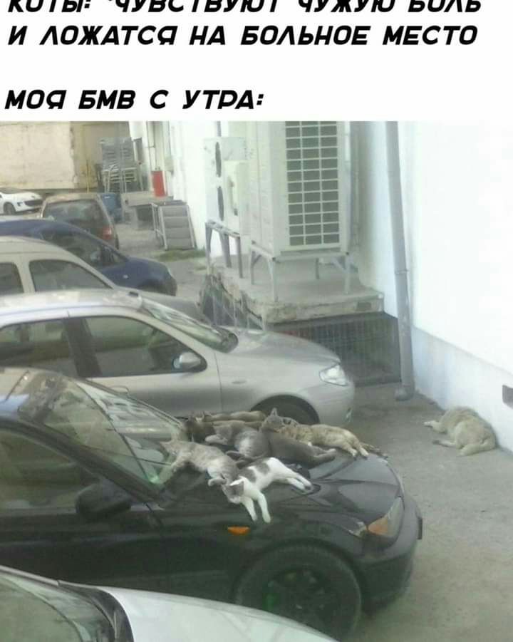 И АОЖАТСП НА ВОДЫ ОЕ МЕСТО МОО БМВ С УТРА