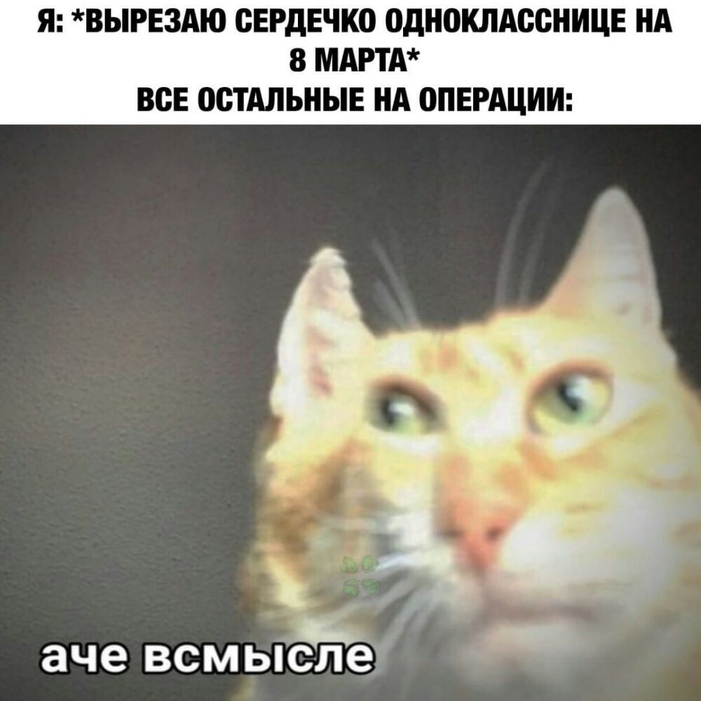 мемы с котами без надписей - 2830574