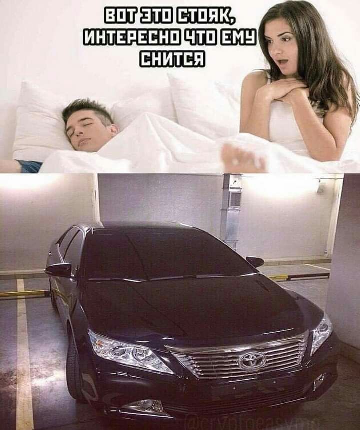 ШШШ интвпвснп ШШ снится