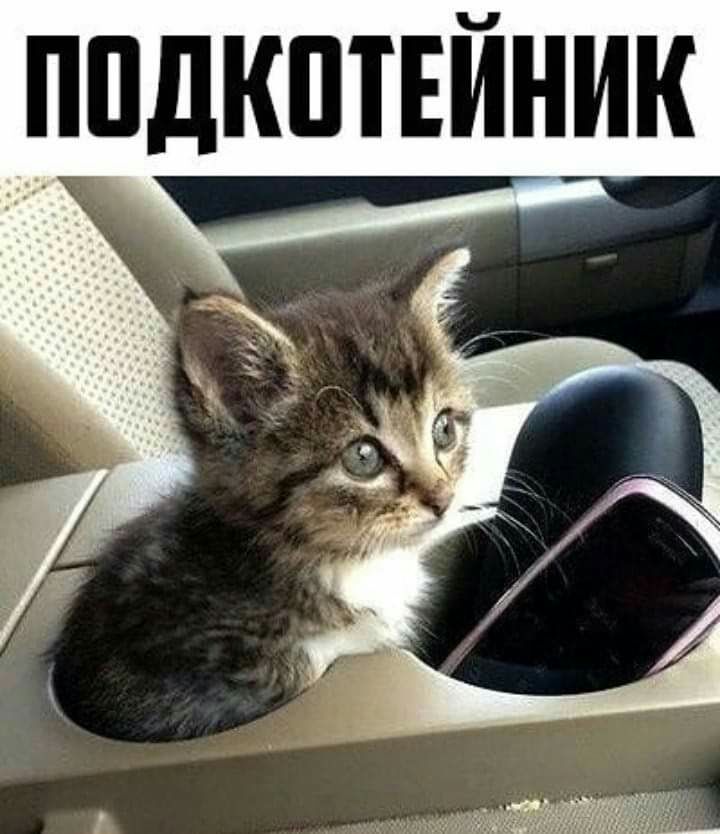 ППДКШЕЙНИК