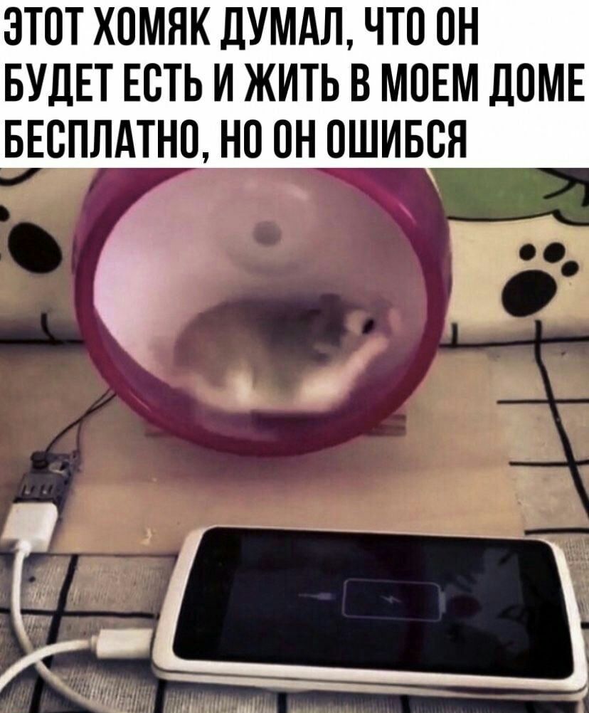ЭТОТ ХПМНК ДУМАЛ ЧТО ОН БУДЕТ ЕСТЬ И ЖИТЬ В МОЕМ ДОМЕ БЕСПЛАТНО НО ОН ОШИБВЯ