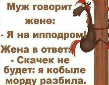 Муж говорит жене Я на ипподро Жена в ответ Скачек не будет я кобыле морду разбила