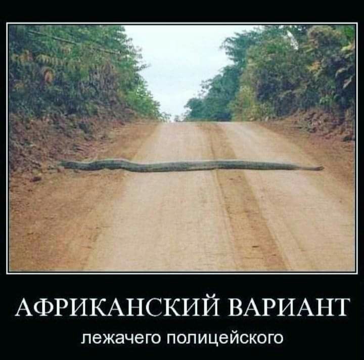 АФРИКАНСКИЙ ВАРИАНТ ПЭЖЗЧЗГО ПОЛИЦВЙСКО ГО