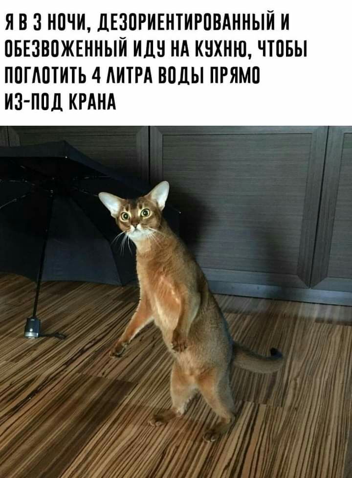 Я В 3 НПЧИ дЕЗПРИЕНТИРПВАННЫЙ И ПБЕЗВПЖЕННЫЙ ИДН НА КНХНЮ ЧТПБЫ ППГАПТИТЬ 4 АИТРА ВПДЫ ПРЯМП ИЗ ППД КРАНА