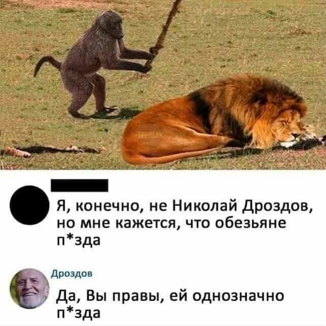 Я конечно не Николай дроздов но мне кажется что обезьяне пзда дроздов да Вы правы ей однозначно пзда