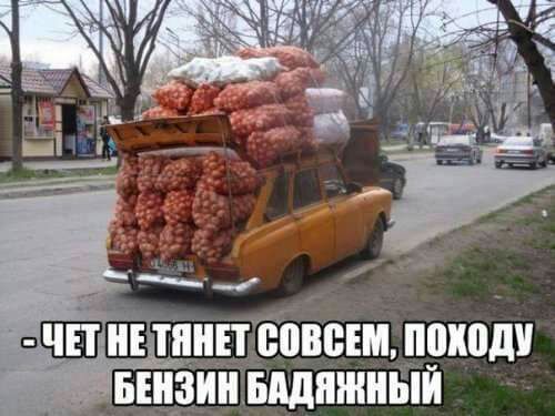 тднпёовсшмиош низиныдпжиыи