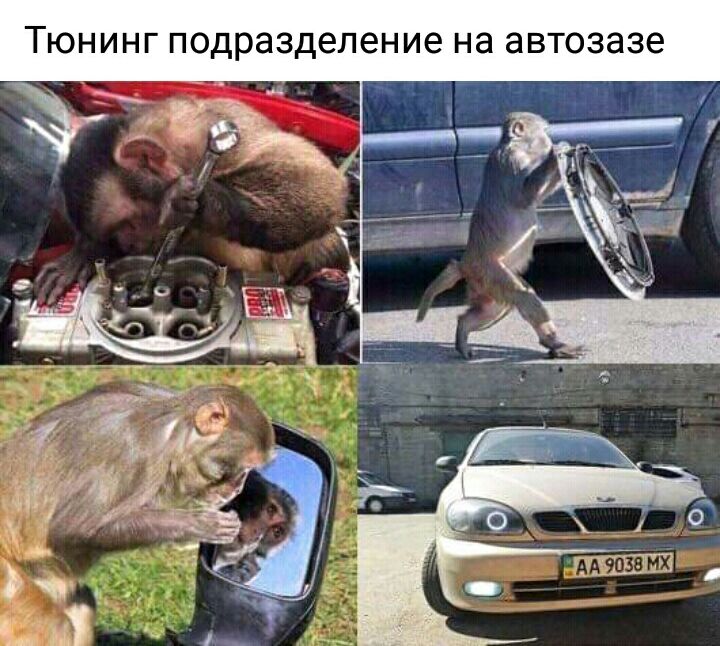 Тюнинг подразделение на автозазе