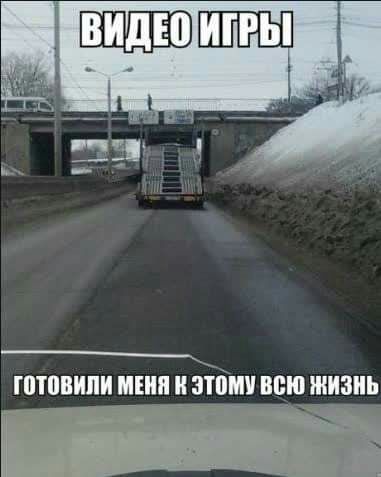 ШЁШШ ШТПВИПИ МБШ И ЗППП всю жизнь
