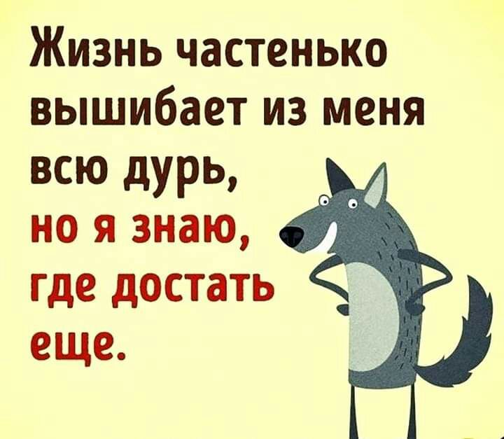 Жизнь частенько вышибает из меня всю дурь но я знаю где достать еще