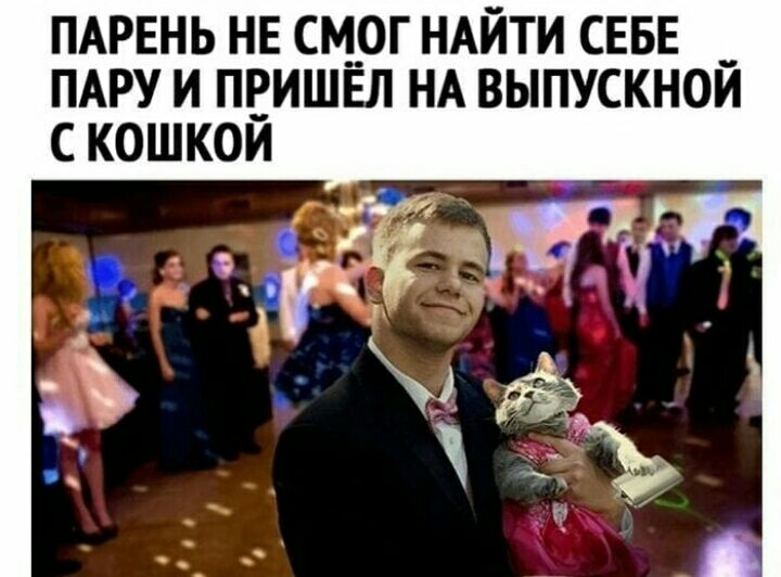 ПАРЕНЬ нв см__ог НАЙТИ СЕБЕ _ ПАРУ и пвишвл НА выпускном с кошкои