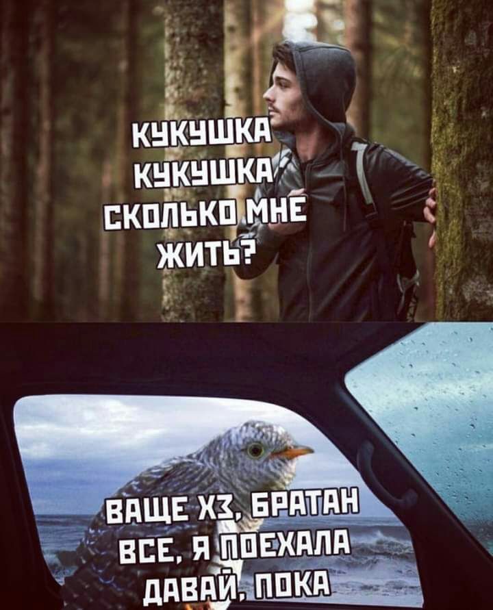 нац Ь _гМЁШ ЖПь_жьгк К К п К Г