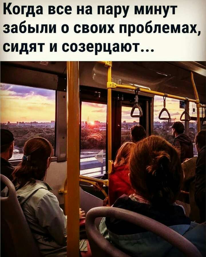 Когда все на пару минут забыли о своих проблемах сидят и созерцают
