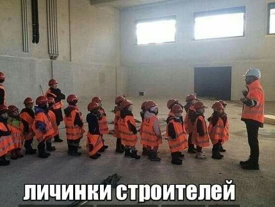 Ё г ёё личинки ствоитепей
