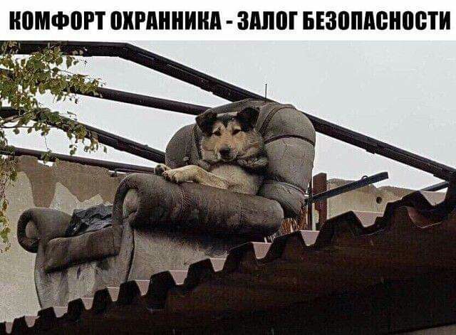 Н0МФ0РТ ПХРАННИНА ШШШ БЕЗВПАВНПВТИ