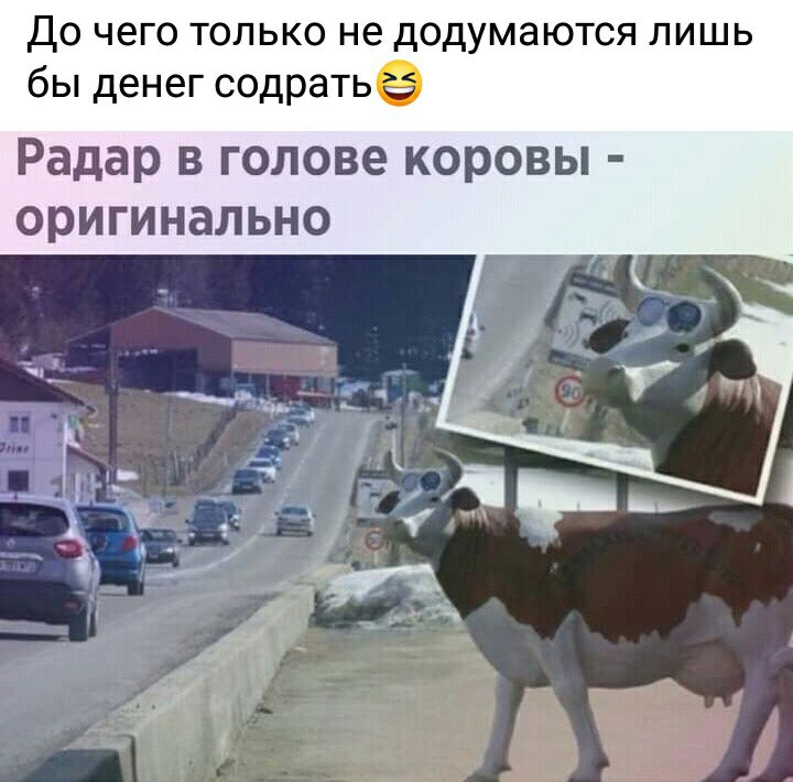 До чего только не додумаются лишь бы денег содратье Радар в голове коровы оригинально