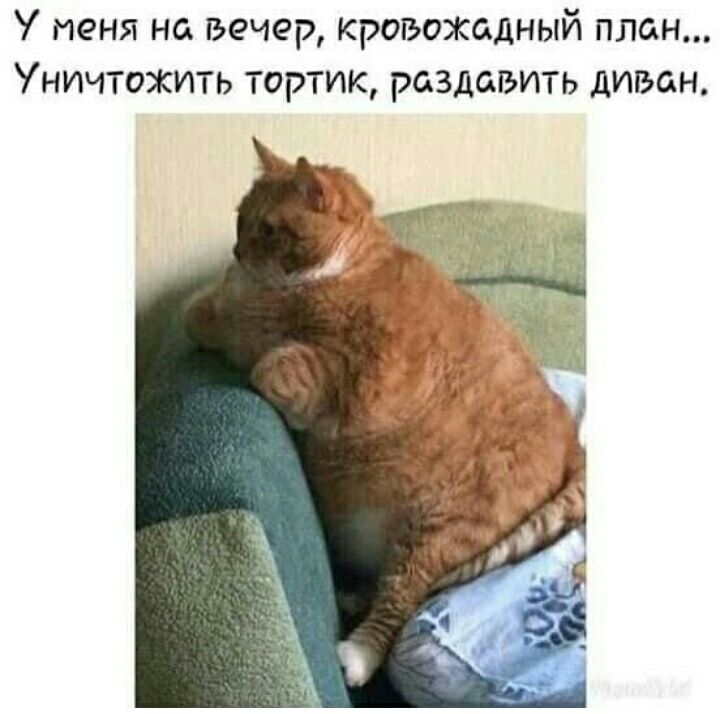 У меня на вечер кровожадный план Уничтожить тортик раздавить диван