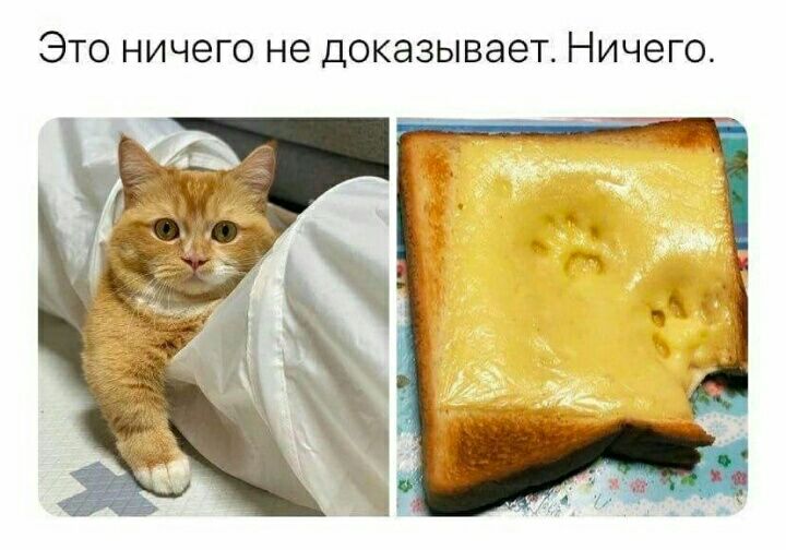 ЭТО НИЧЭГО не ДОКЭЗЫВЭЭТ НИЧЭГО