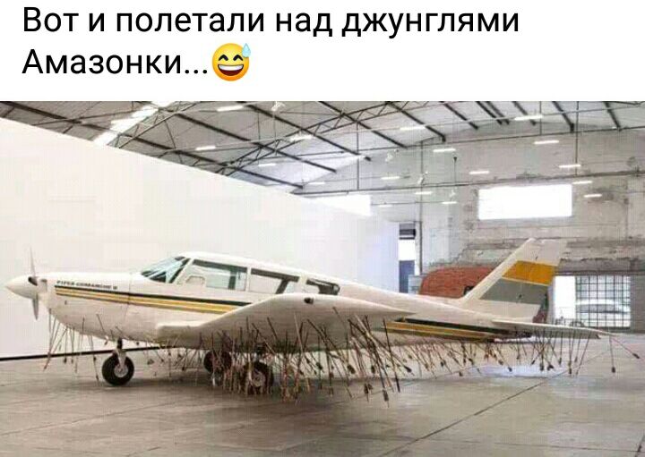 Вот и полетали над джунглями Амазонки