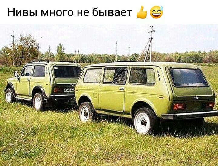 Нивы много не бывает