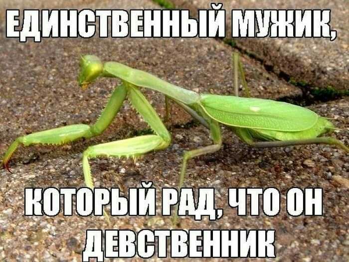 чтоёпн ннии ст А