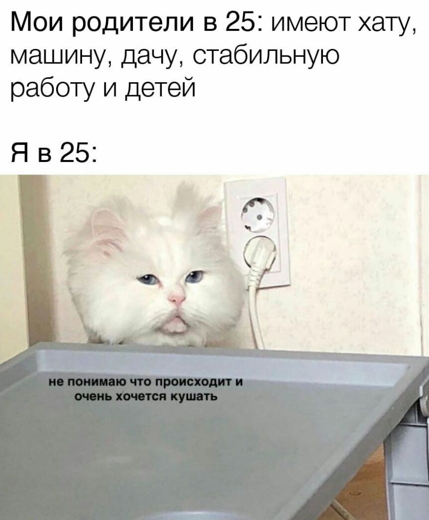 Мои родители в 25 имеют хату МЦШШДЭЧУСТ86ИЛЬНШО работуи1детей Яв25
