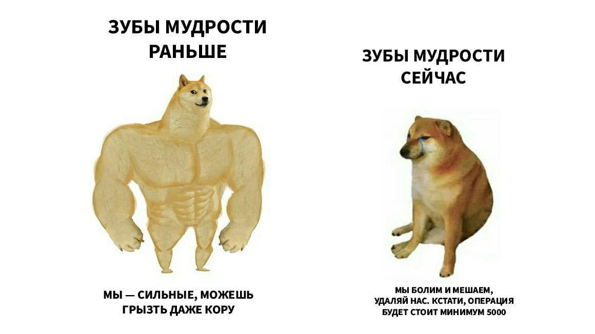 ЗУБЫ МУДРОСТИ РАН ЬШЕ зувы мудрости СЕЙЧАС мы водим и мвшдвм мы _ СИЛЬНЫЕ МЖЕШЬ уддляй ндс ксшиопвиция грызть дАЖЕ КОРУ вудвт сюит минимум 5000