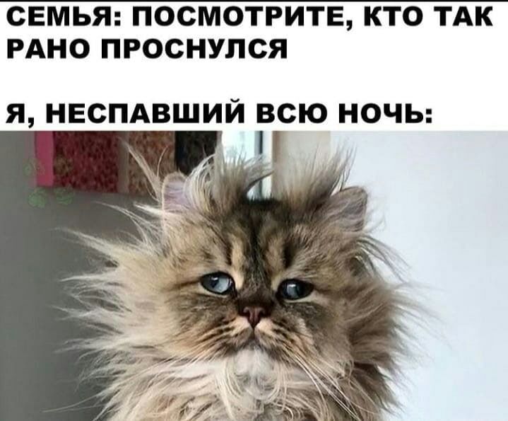 СЕМЬЯ ПОСМОТРИТЕ КТО ТАК РАНО ПРОСНУПСЯ Я НЕСПАВШИЙ ВСЮ НОЧЬ
