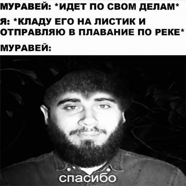 МУРАВЕЙ ИдЕТ ПО СВОМ дЕПАМ КЛАДУ ЕГО НА ЛИСТИК И ОТПРАВПЯЮ В ПЛАВАНИЕ ПО РЕКЕ МУРАВЕЙ 0_ спа йбо
