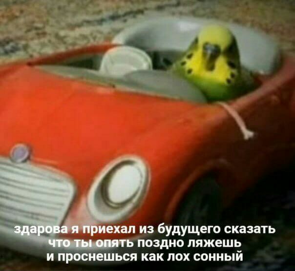 ехал ИЗ бУдУЩЕГО СКЗЗЗТЬ ПОЗДНО ляжешь И П ЕШЬСЯ как ЛОХ СОННЫЙ