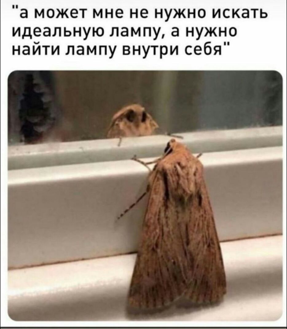 а может мне не нужно искать идеальную лампу а нужно найти лампу внутри себя