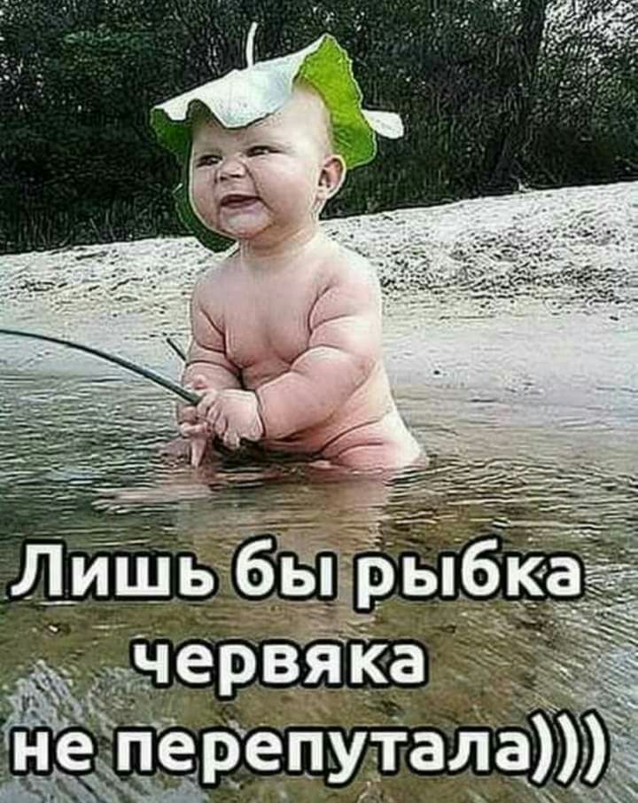 Ёервя ка _ 33 репутада