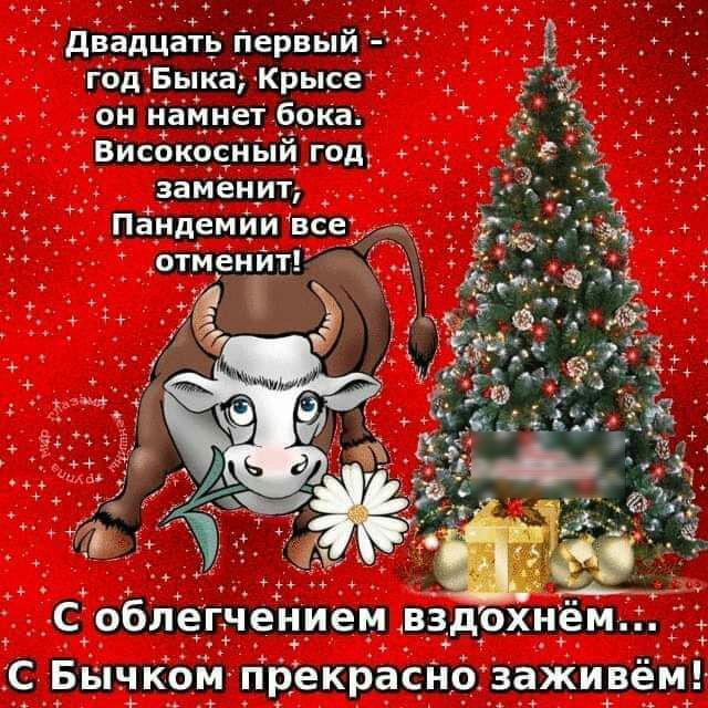 ЁдБдЪцаЁр йеЬЪЫй годЁБыкаіКрысг д 3 __он Начнет ёока _ БИСбкчейЫйігодд і 3 1 заменит _ _ Соблегдчением вздохніем 1С Бвічкбй гірекраснфізаживей