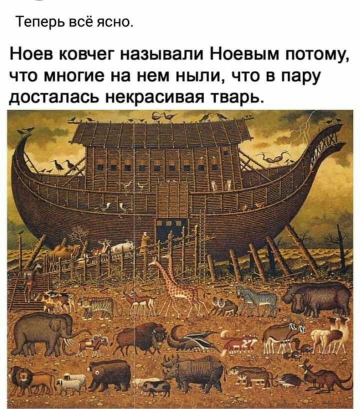 Теперь всё ясно Ноев ковчег называли Ноевым потому что многие на нем ныли что в пару досталась некрасивая тварь