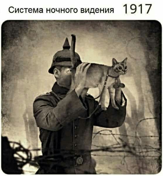 СИСТЕМЕ НОЧНОГО видения 1 91 7